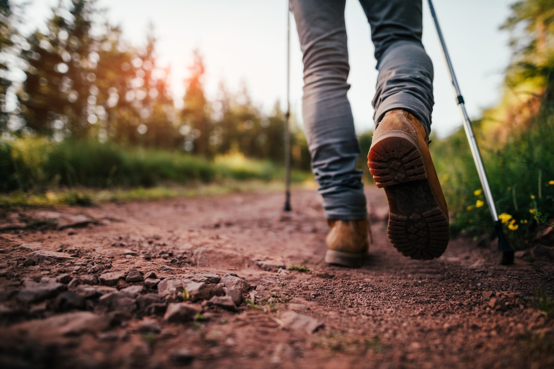 hiking timbs